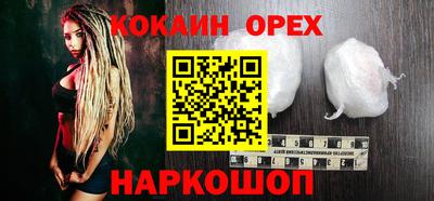 шишки Кандалакша