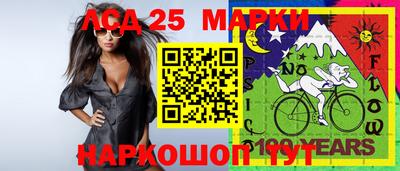 шишки Кандалакша