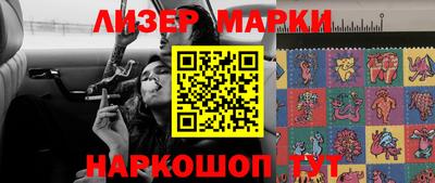шишки Кандалакша
