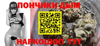 шишки Кандалакша