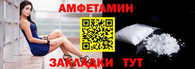 шишки Кандалакша