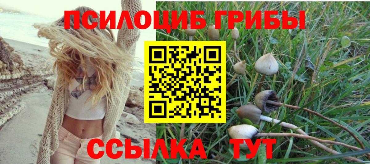 Галлюциногенные грибы Cubensis  Вход с VPN  где купить наркотик  Кудымкар 