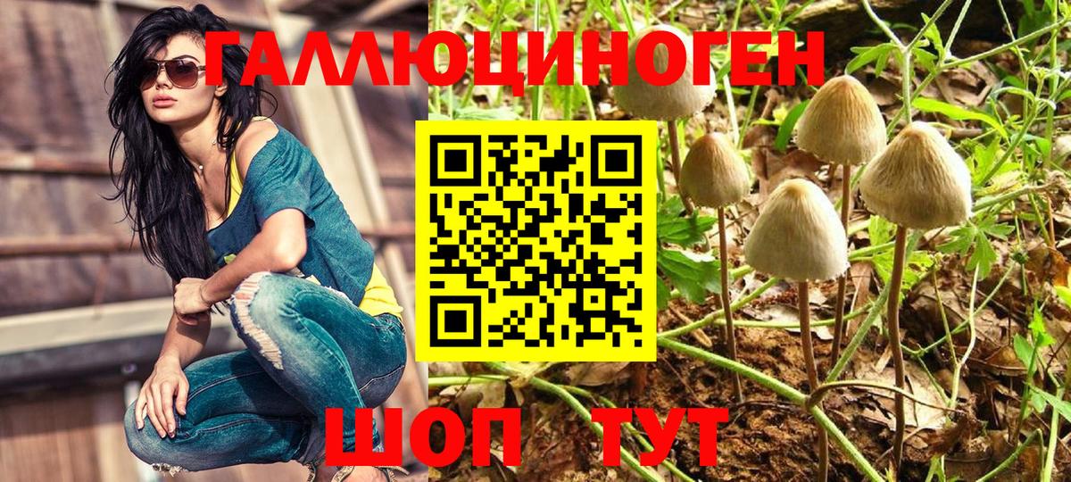 Псилоцибиновые грибы Magic Shrooms Кудымкар